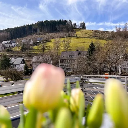 Silbach Panorama 温特贝格