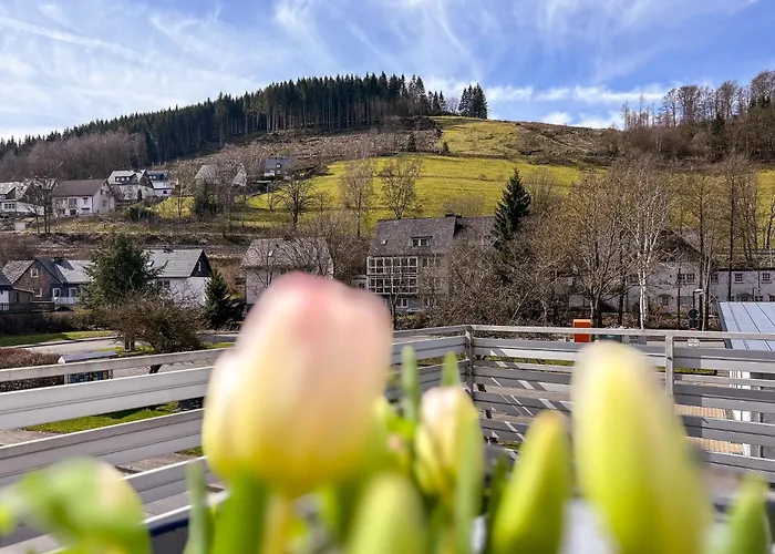 Silbach Panorama Winterberg